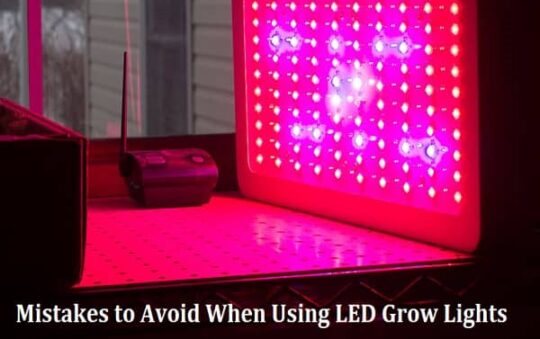 Common Mistakes to Avoid When Using LED Grow Lights