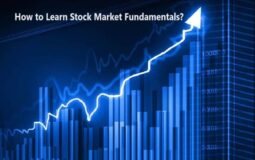 How to Learn Stock Market Fundamentals?